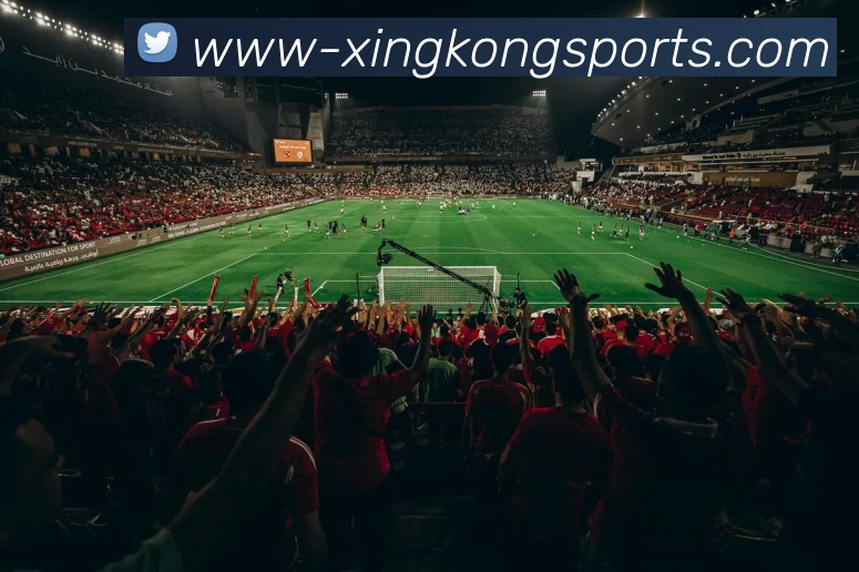 星空官网服务体系